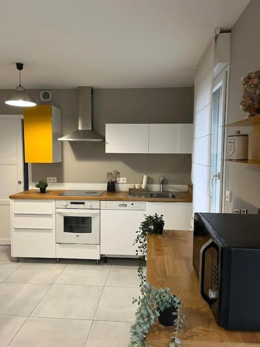 La Maison Du Bonheur 70 M² Saint-Amand-les-Eaux Εξωτερικό φωτογραφία